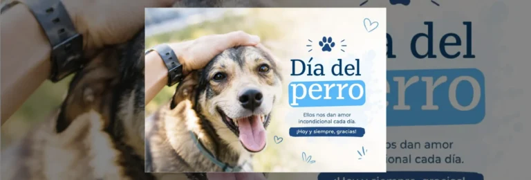 gabrica portada (1)_11zon